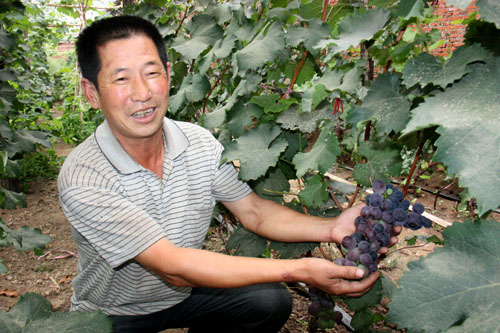 ���ɹ������ͣ�ũ��̷��ɽ�������޷䡱���ѻ�ɹ�