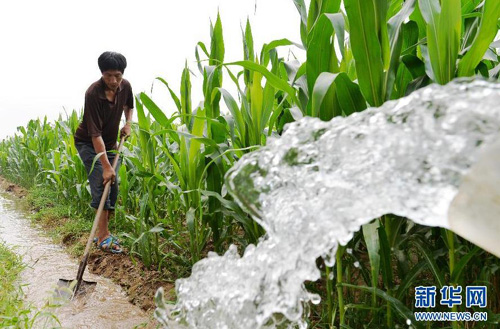 �ӱ�������� �����ܺ����1560��Ķ