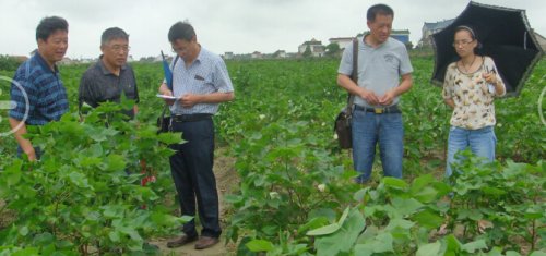 ����ʡ��ͨ�����ӹ���վ�����վ�����綫�������������������