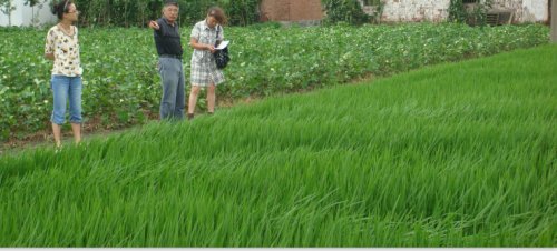 ����ʡ��ͨ�����ӹ���վ�����վ�����綫�������������������2