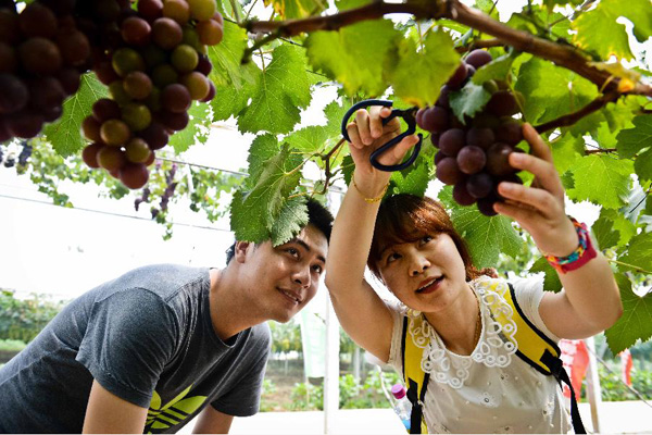 ���պϷʣ���ĩ�������ѽ�