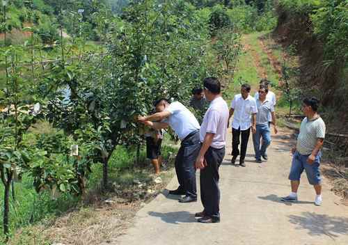 ϳɳذɳʱˮЭḰΧɽˮҵ