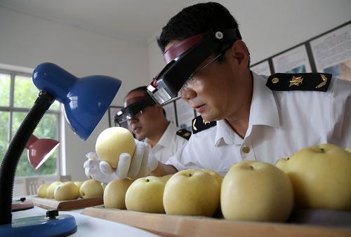 �ӱ���ͷ�������ʵ�֡�����ֱ�š�