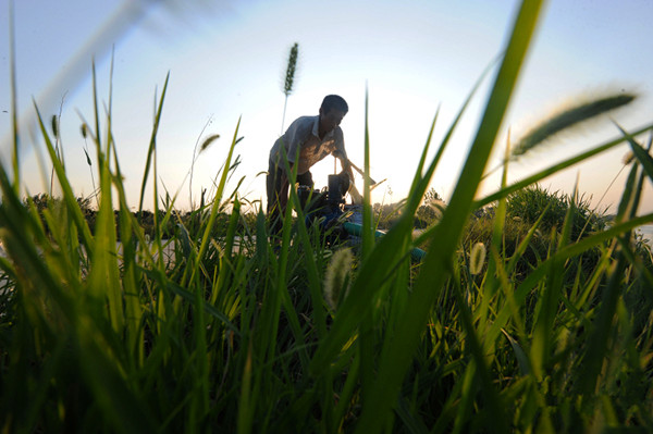 ���ϻ����ж���������