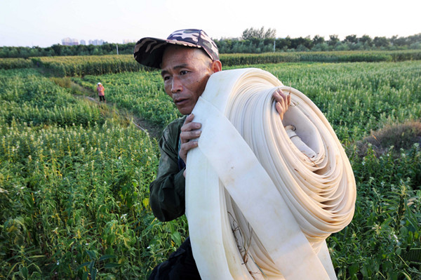 8��3�գ����������سǹ���󸶴�ũ��Сϲ�����׼��Ϊũ���ȡ�