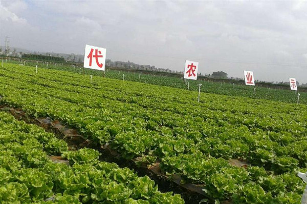 ϺӰĶִũҵʾఢƬµһƬƬ߲˳ϲ