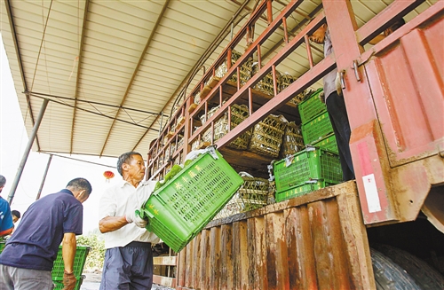 8��3�գ��߲˻��ص�Ա�����ڰѳɿ���߲�װ����