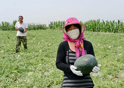 8��5�գ�������˫ӡ�Ӵ�ũ���ڲ�ժ��������ϡ�