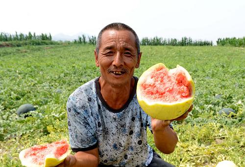 8��5�գ�������˫ӡ�Ӵ��ũ����չʾ�ѳ������Ʒ�����ϡ�