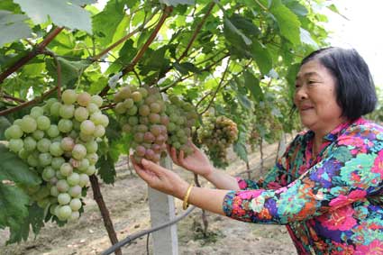 ���շ�̨�أ����ѷ�����ũ��