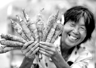 ���������У���ҩ�硱�������ջ�