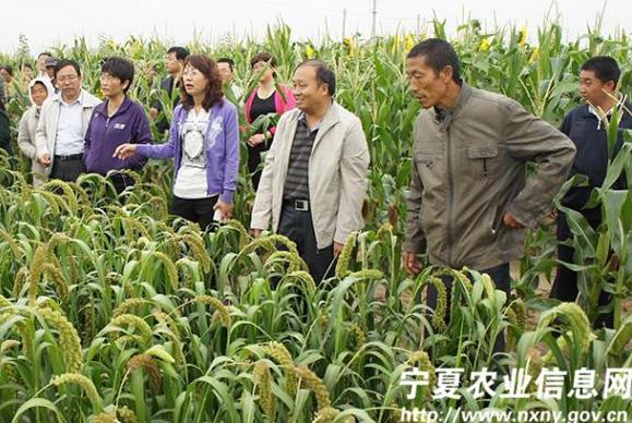 ѵоԱһеִﺣԭغܫˮʾ԰ũԱֲ󻧽˽ֳũҵʵʹдڵһЩ⣬ѧֲָץʵץסСֲܻ溦εȹ