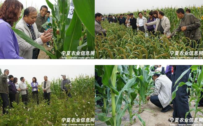 ͨ˴ѵѧϰһ˹ũҵԱԷչˮũҵķʶؿʶҰ֪ʶ棬ΪԱһѧϰҪƽ̨