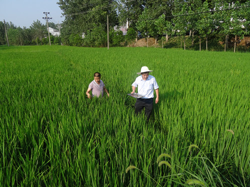 찲չˮش󲡳溦ʾ