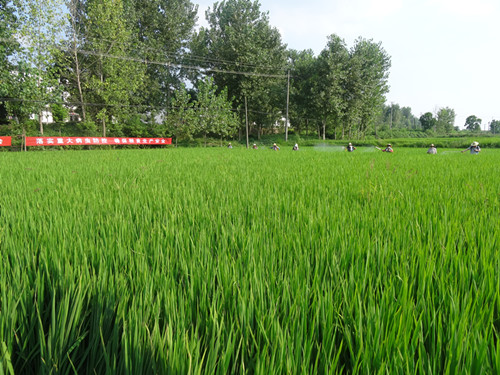 찲չˮش󲡳溦ʾ2