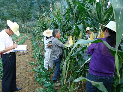 ���츢����ũίר���鵽��ʯ�����������׸߲�������Ŀ