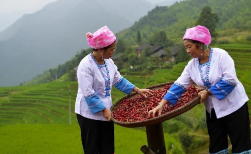 ������ʤ��������