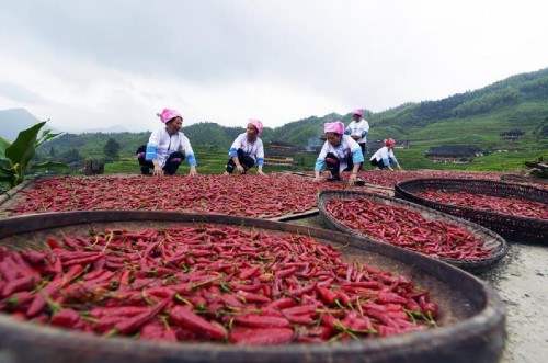 8��10�գ�������ʤ�����������������������������ɹ�ող�ժ�ĺ�������