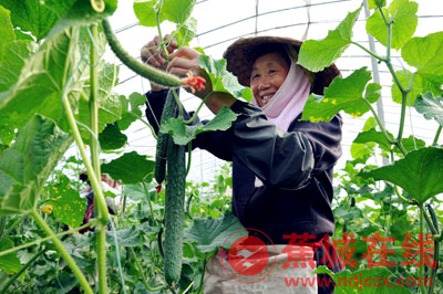 �������½�������Ϫ��ǧĶ����ũҵʾ��԰��ӭ���ƹϷ��