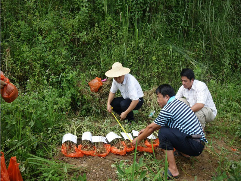 ԪũҵֶԻ䷽ЧУʵ2