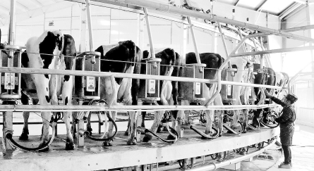 �½����ŵ���ʦ׼������ţ��ֳ����Ͷ��