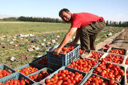 811գ½ŵڶʦʮһְ˲ժʷѡ