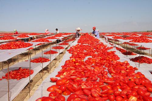 810գ½ŵڶʦʮһְæɹժʷѡ