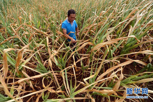 810գпذӴũھյ׵