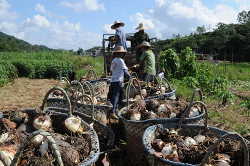 �����ֱ�������ֲ������ͷϲ�����