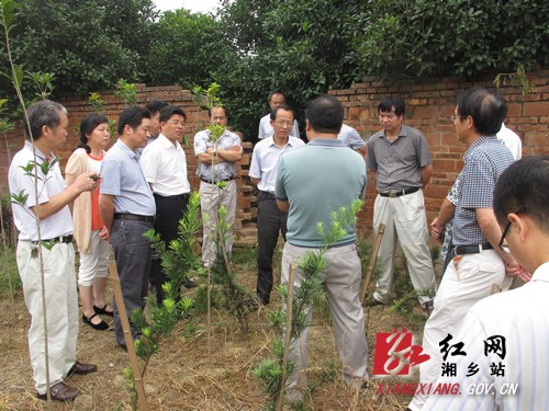 ʡũҵίԱ쵼ֲṹԵ