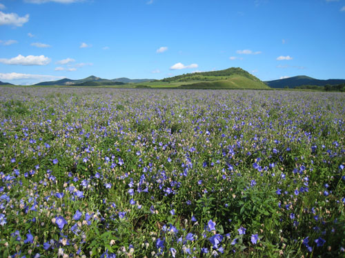 �۹����������ϣ�