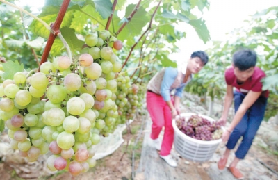 ���������У���ɳ���ء��ϹϹ���