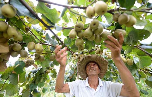 87գɽɽ繵ߴ59ũ̬԰⨺ҡ