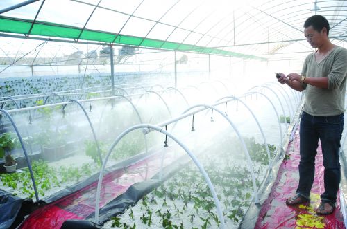 ʯʨչʩũҵﴫͳֲ5 ƷӦ