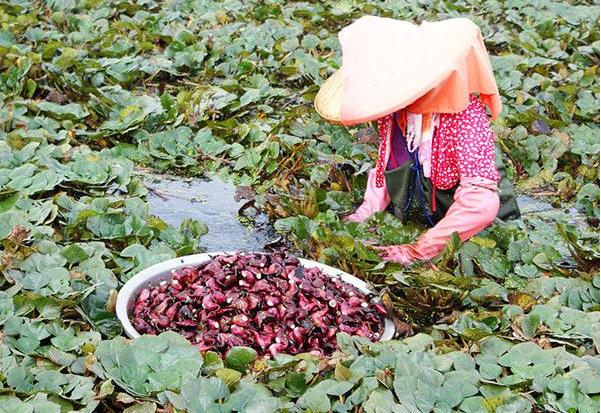 հũðŸ²ժ ˮ߲˴ũ¸