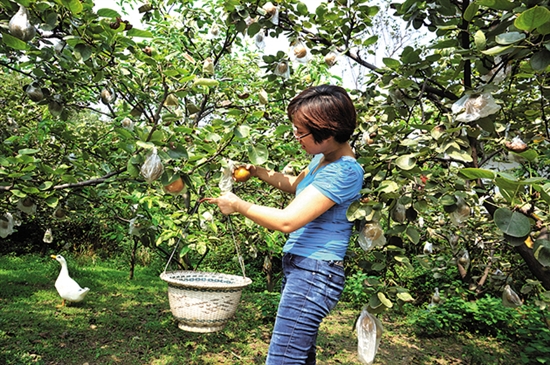 Ĵڽ¡ʻƻ桱 ֵ390Ԫ