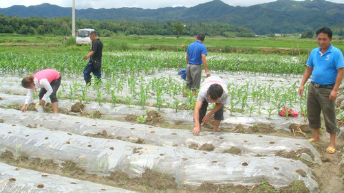 ¤ũҵƹĿƼԱ俪չ̺2