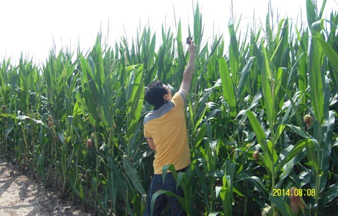 ���ո������Ȫ��ũ����Ա�������׸߲���������ͷ