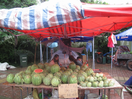 安徽合肥连日阴雨西瓜销售遇冷 一瓜农称一天进账21元