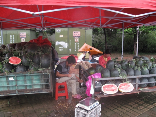 受低温阴雨天影响,瓜农摊点前门可罗雀