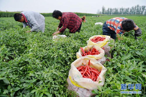 �ӱ���������������