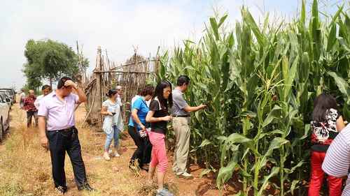 ���ɹŶ�����˹��ũ��ҵ��ץ�ø߲���������ָ������