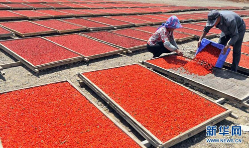 ÄþÏÄÖÐÄþèÛè½×ßÏò¹ú¼ÊÊг¡