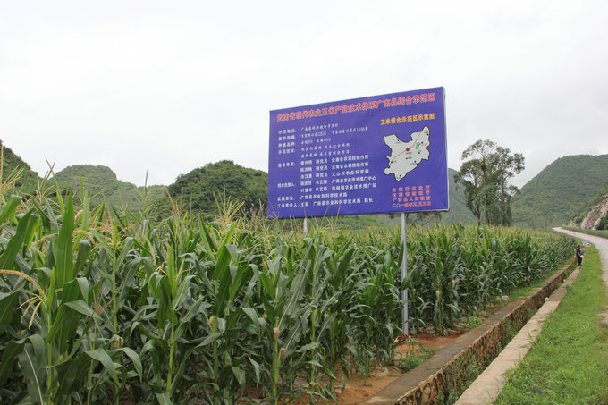 ���Ϲ����ؼ�ǿ���ײ�ҵ��ϵ��Ŀʵʩ�Ķ����ָ��