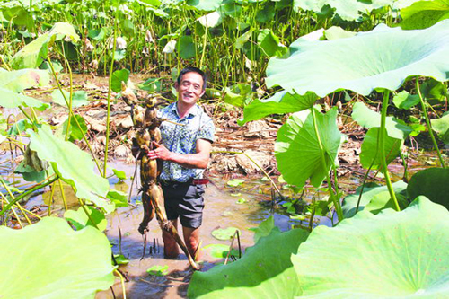 �Ĵ�������ź���� źũ����