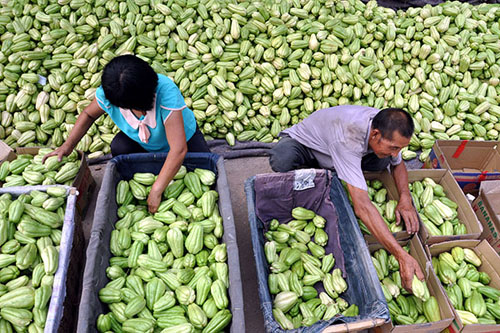 ɽ����Դ2��Ķ�＾�߲�ӭ���ջ�