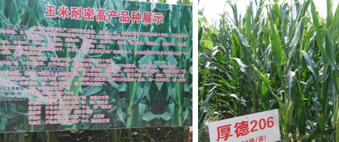 ���ɹ�ͨ���п�չ�������ܸ߲�Ʒ��չʾ