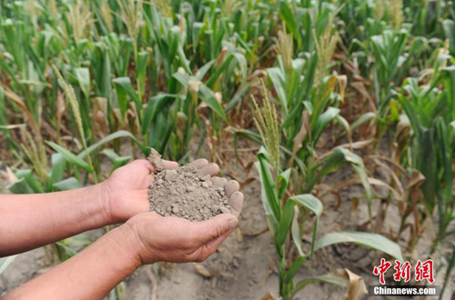 吉林现50年最严重旱情 部分产粮地绝收