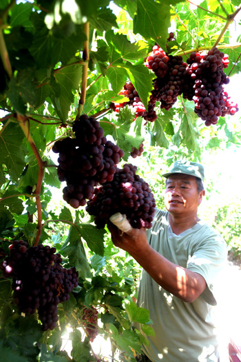 812գ½ŵʦʮŵְڲժѡ