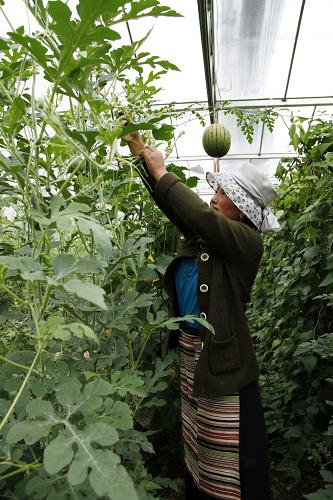 814գزؼһ帾ŮйҵŹ˾ԮĲضũҵƼʾ԰ڹ